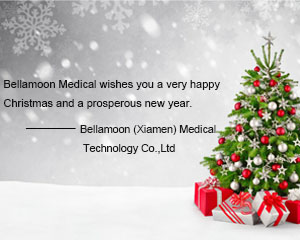 Bellamoon (Xiamen) Medical Technology Co., Ltd. กิจกรรมสร้างทีมคริสต์มาส